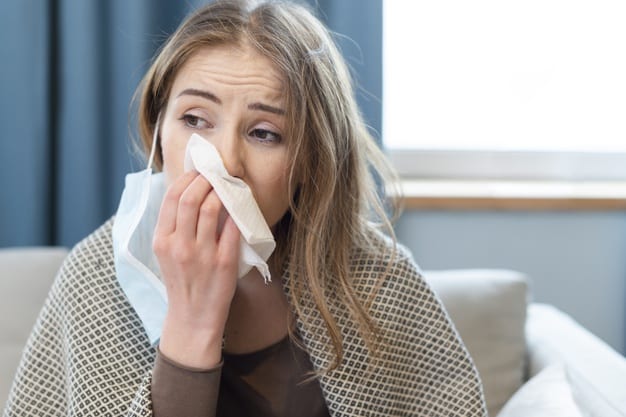 Khám Phá Thế Giới NOHU - Hành Trình Lý Thú